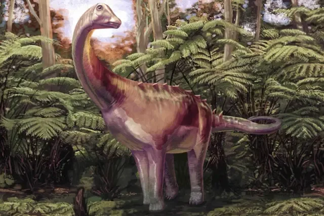 Una impresión artística de un titanosaurio marrón claro, con su cuello largo y cola larga. Está de pie sobre las cuatro patas entre unos helechos verdes de árboles.  Hay algunas espinas que recorren la parte baja de la espalda y la parte superior de la cola. Está girado hacia nosotros, pero su cuello está ligeramente torcido mientras su pequeña cabeza, con la boca cerrada, mira un poco a su alrededor hacia la izquierda