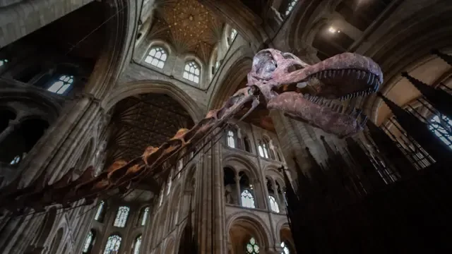 El cuello y la cabeza de un esqueleto de titanosaurio están dentro de la catedral de Peterborough. El cuello del esqueleto avanza, fuera de plano, hacia el cuerpo del animal alrededor de la izquierda de la imagen y la cabeza está en el lado derecho. Hay unos veinte arcos y ventanas de diferentes tamaños visibles tanto por encima como por debajo del esqueleto en distintos niveles. La boca del titanosaurio está ligeramente abierta y se ven sus dientes. La cuenca derecha del ojo del dinosaurio está iluminada y destaca en la foto