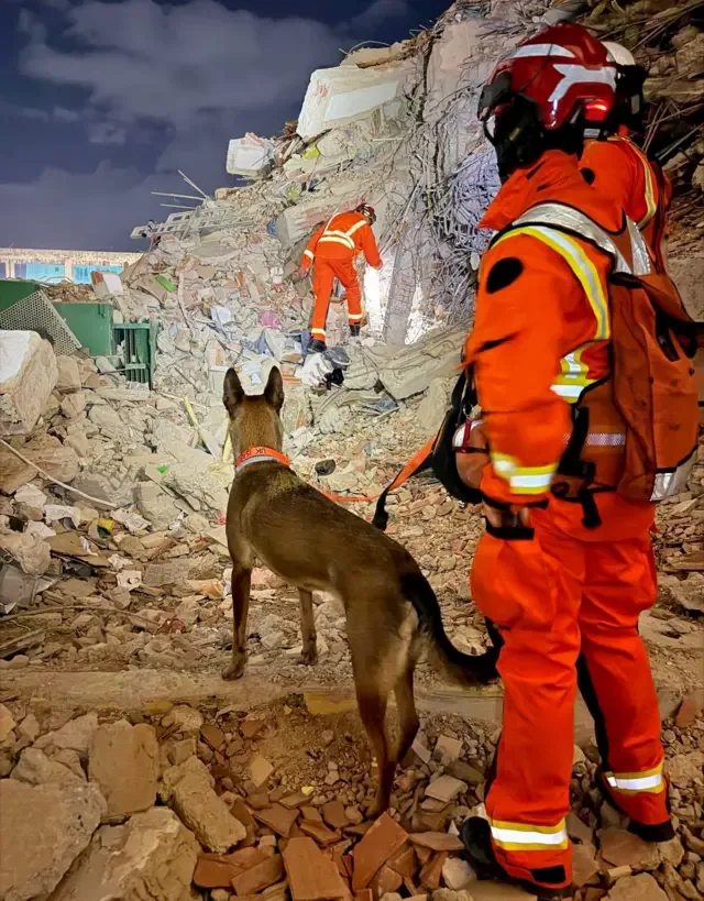 Una persona vestida de pies a cabeza con ropa naranja de alta visibilidad sostiene a un perro con una correa mientras busca sobrevivientes en una zona cubierta de escombros en La Guaira, Venezuela.