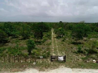Caso del Aeropuerto de Bávaro se convierte en referente jurídico académico