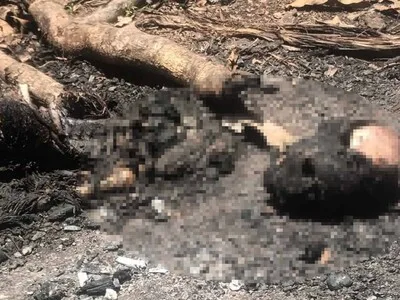 Investigan hallazgo de osamenta humana carbonizada en Dajabón
