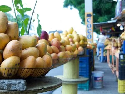 Agricultura refuerza controles fitosanitarios para exportación de mangos
