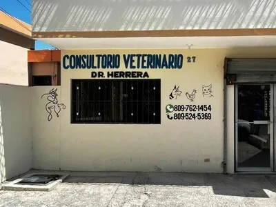 Expertos analizan causas de brote de sarna en provincia Barahona
