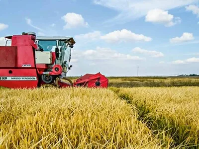 Subsidios federales de EE.UU. fortalecen competitividad del arroz en mercados internacionales