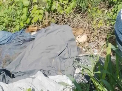 Hallan restos humanos cerca de la Circunvalación Norte en Santiago