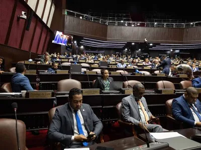 Legisladores exigen investigación externa por detención de diputada en Elías Piña