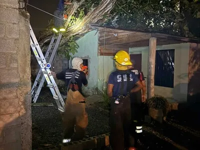 Tormentas provocan daños en el tendido eléctrico de La Vega