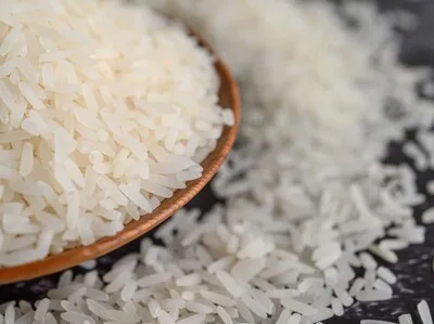 Leonel Fernández cuestiona volumen de importaciones de arroz en 2024