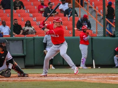 Lidom: Schiavone, mezcla poder y velocidad y busca crecer en RD